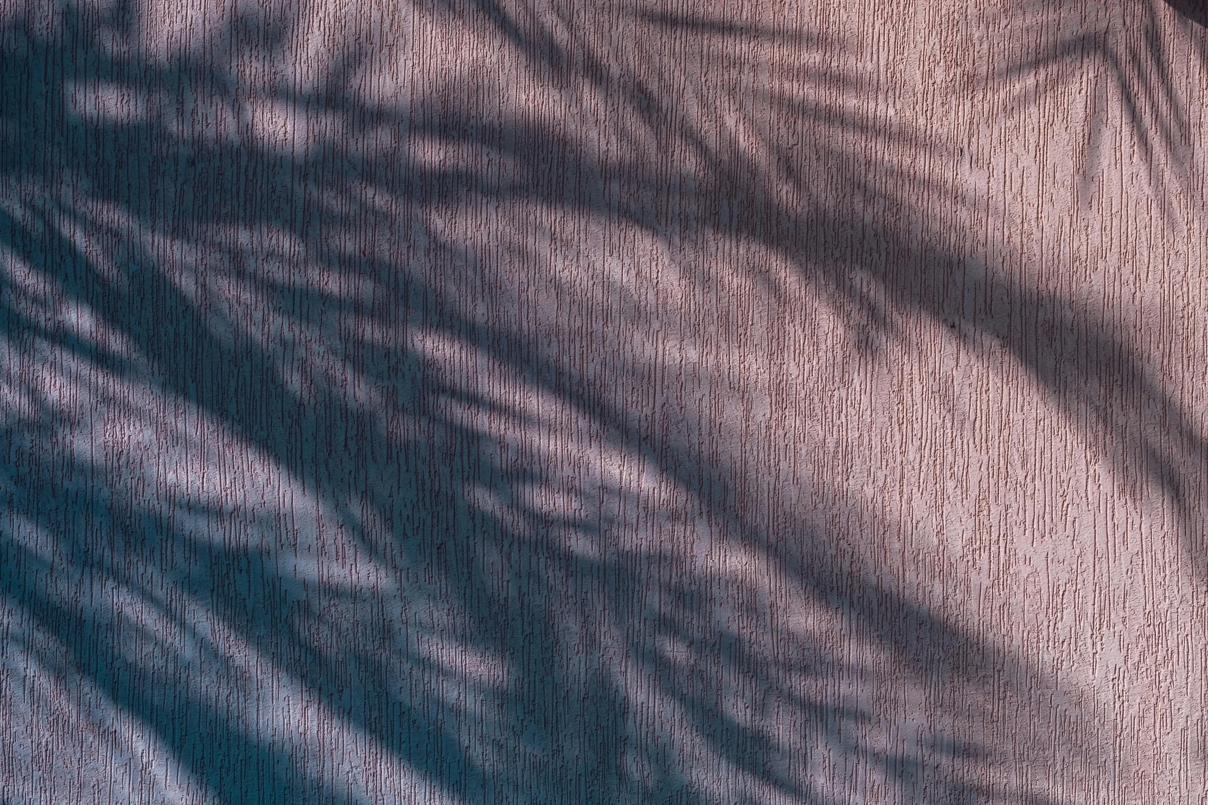 shadow of trees and bushes cast on the fabric