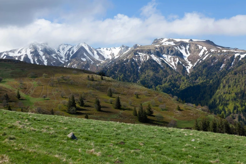 the animals are grazing near a very mountain pasture