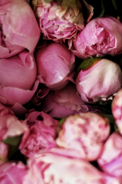 a bouquet of pink peonies sit in the middle of the image