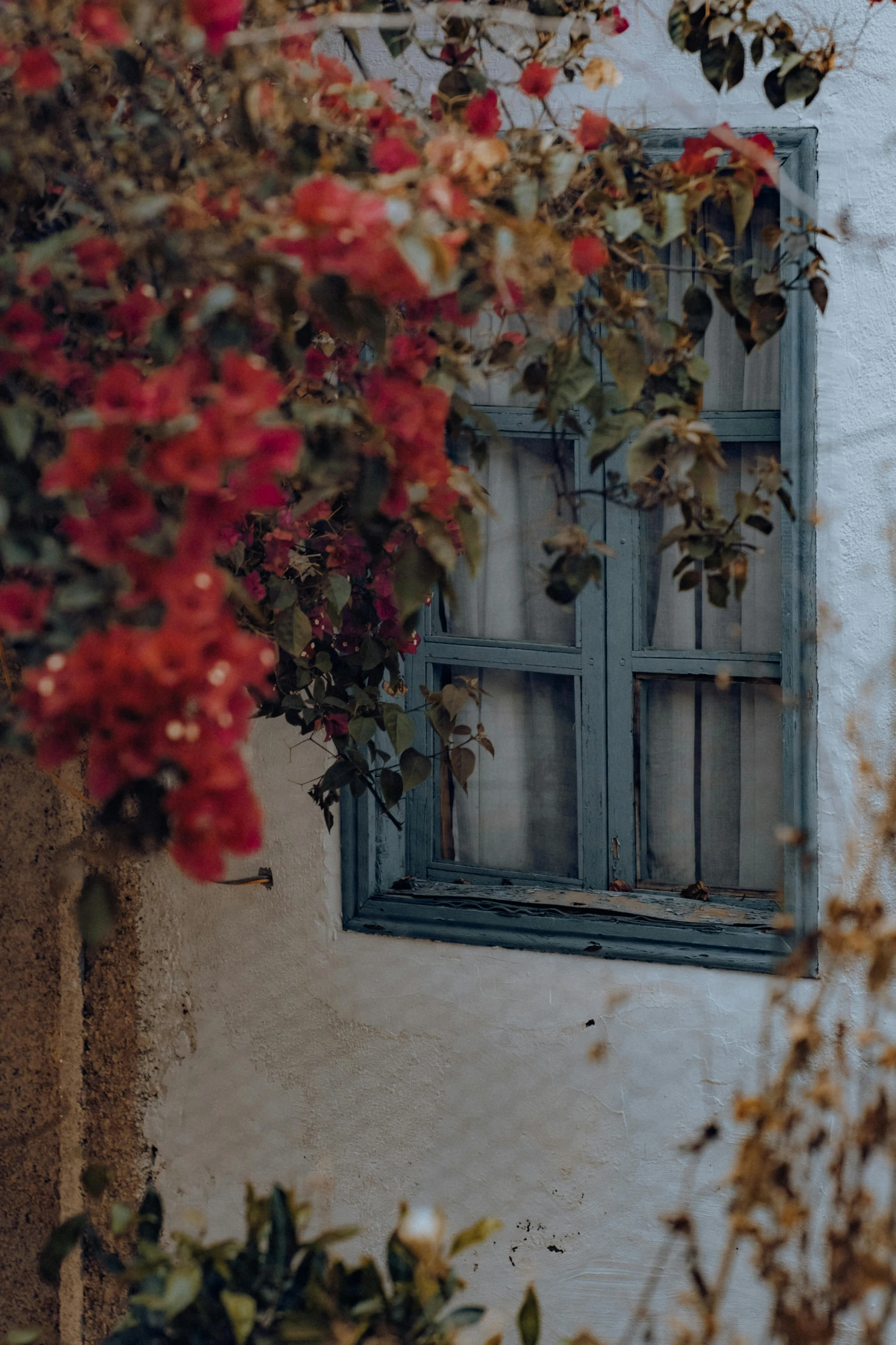 an old window with shutters opened and red flowers on the outside