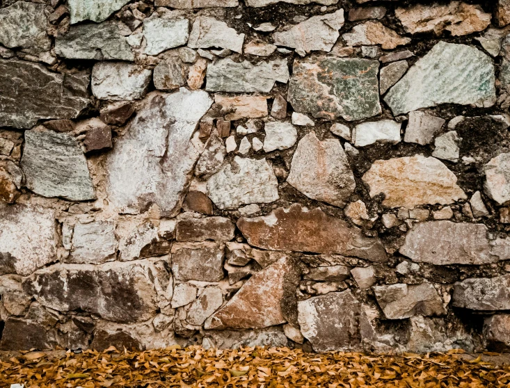 a woman with a umbrella is standing in front of an old stone wall