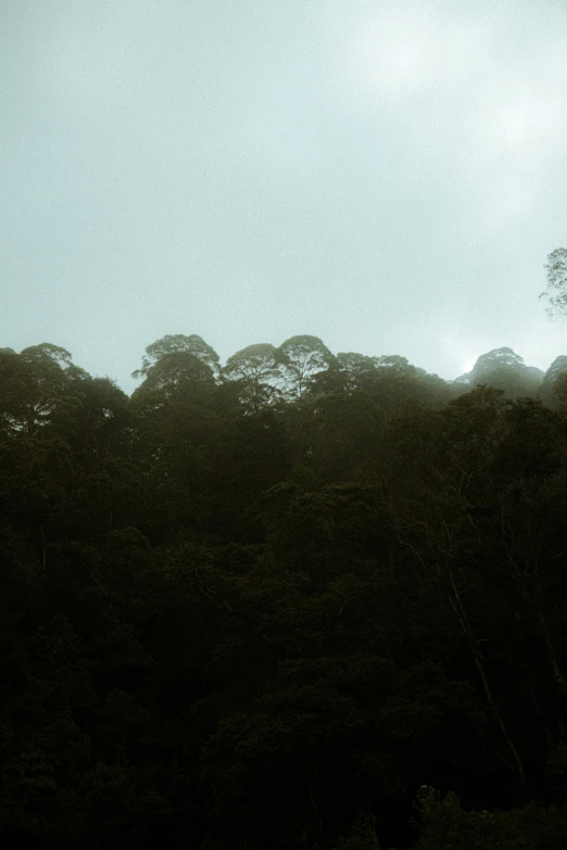 an airplane flying over mountains with trees in the foreground