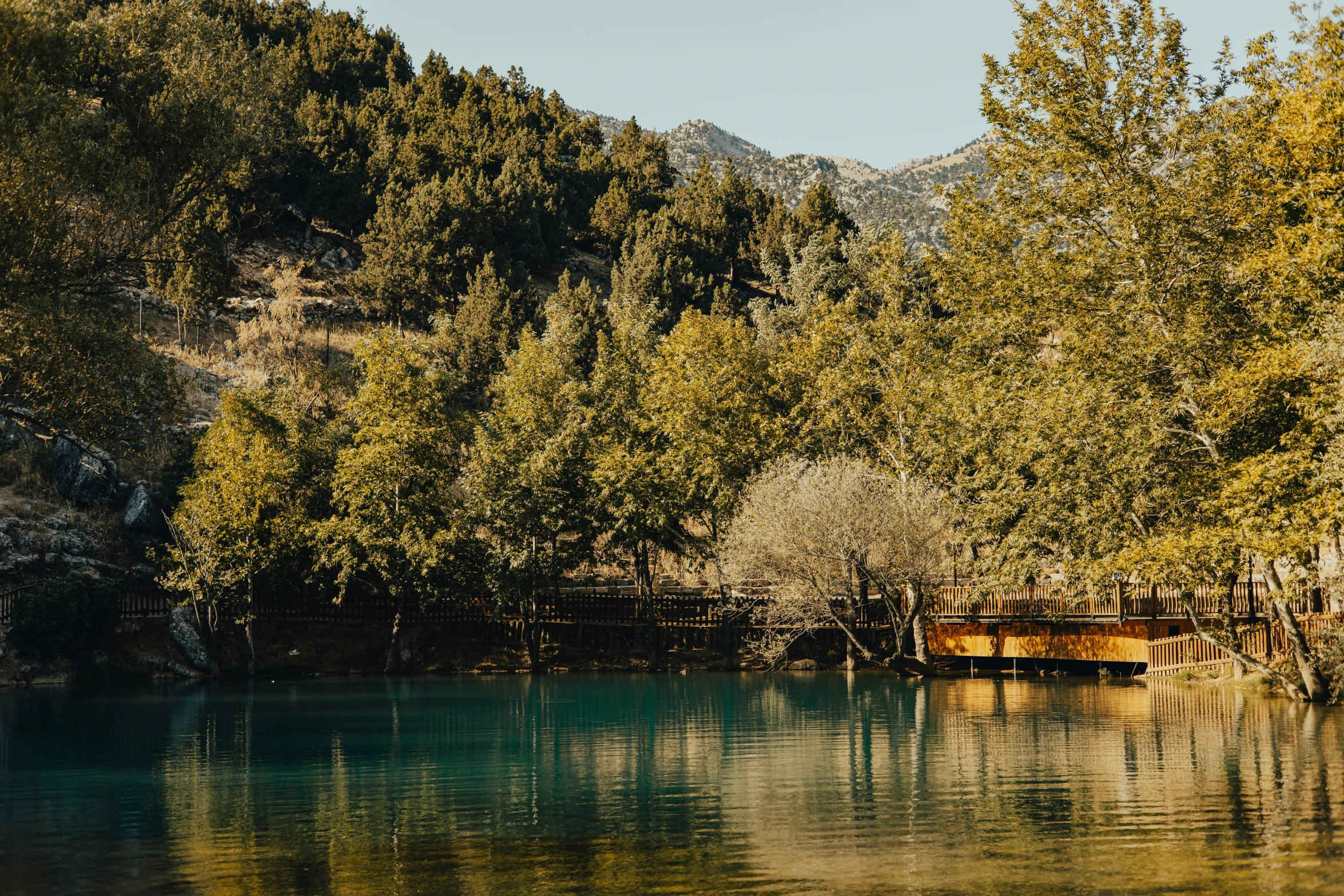 an open body of water surrounded by trees