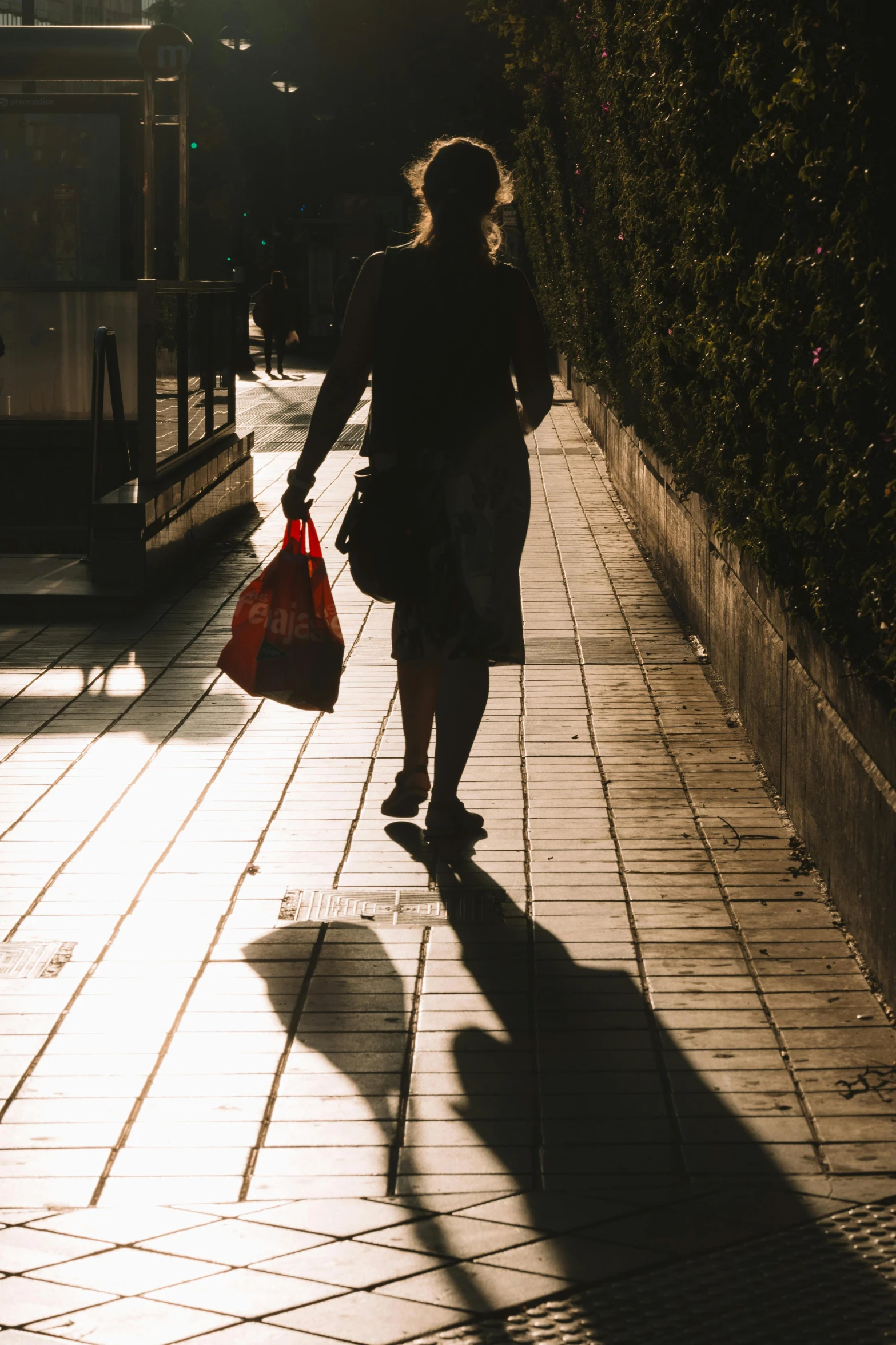 a woman with two bags is walking on a sidewalk