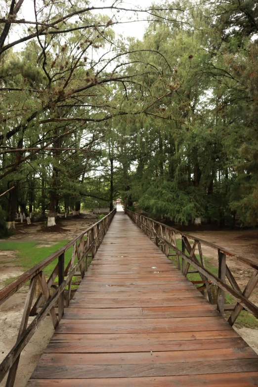 a very tall bridge across a big open area