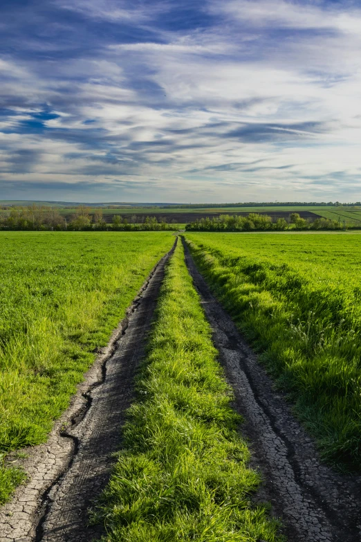 a grassy field with two lanes running across it