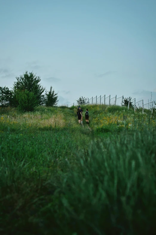 two people are running through a field of grass