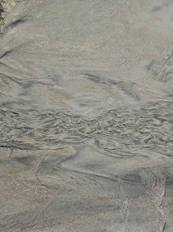 a person walking on a beach next to the water