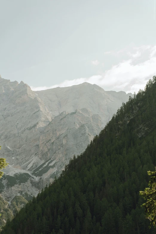 a man standing on top of a lush green hillside