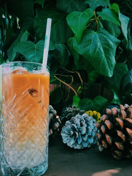 an iced beverage in a glass next to some plants