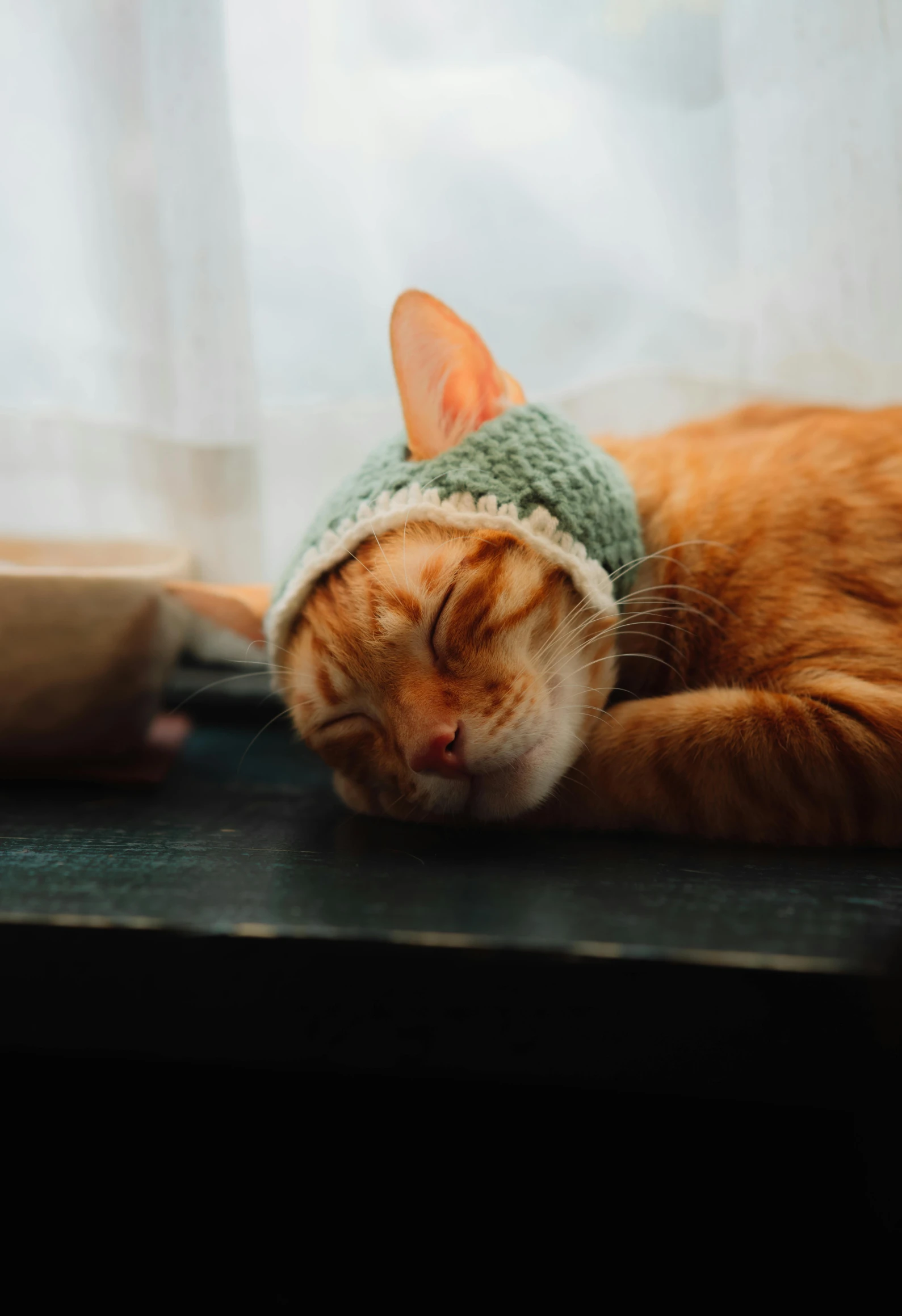 a cat laying on top of a wooden table