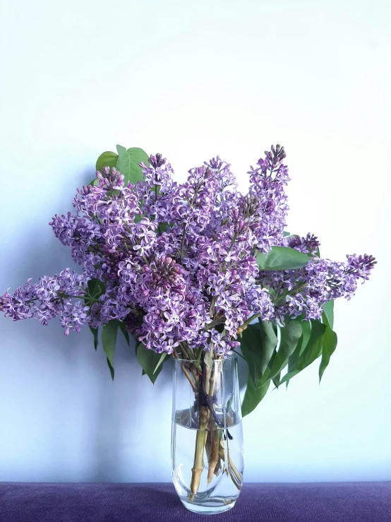 a vase with lilacs in it sitting on the table