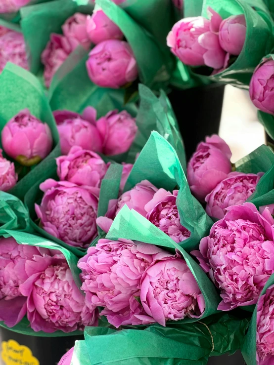 this bouquet of pink peonies is wrapped in green paper