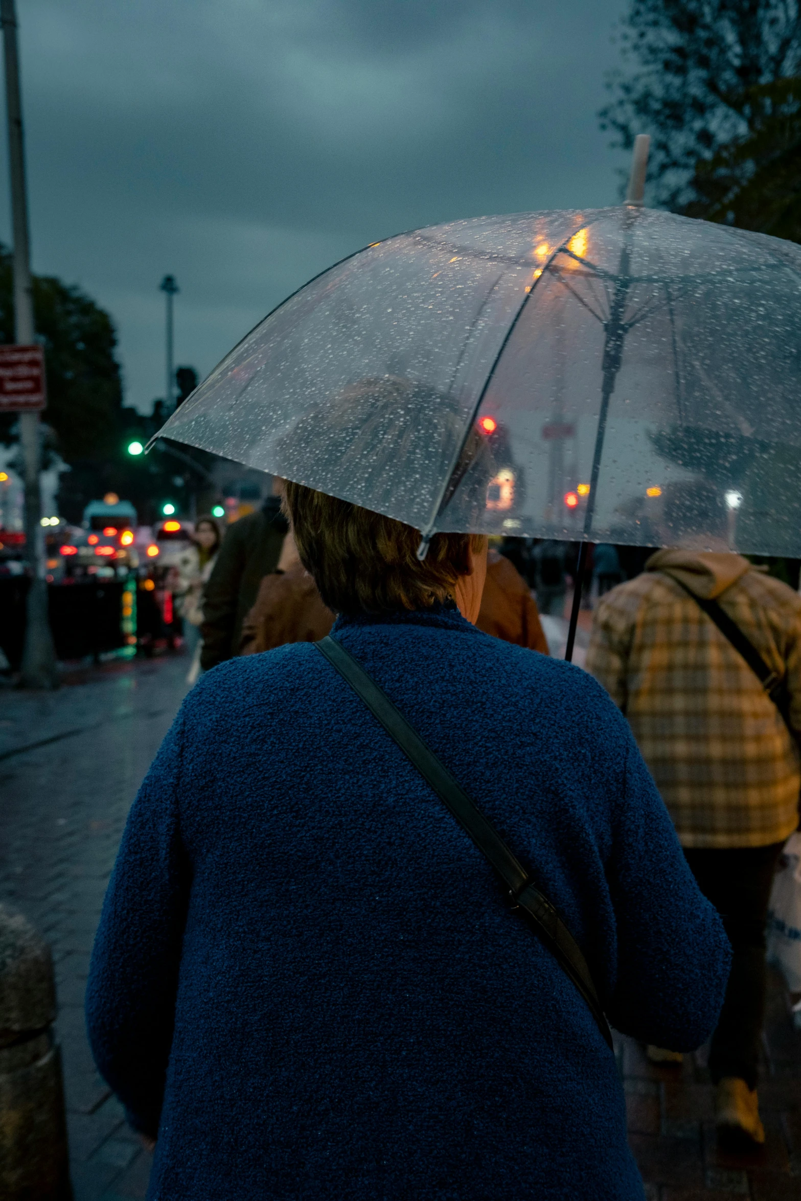 a woman holding an umbrella walks through the rain