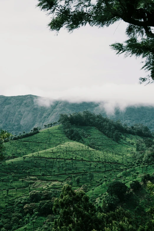 green rolling hills with clouds in the background