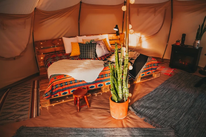 a bedroom in a tent has a bed and plants in the corner