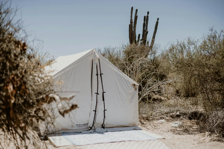 a white tent that is near some bushes