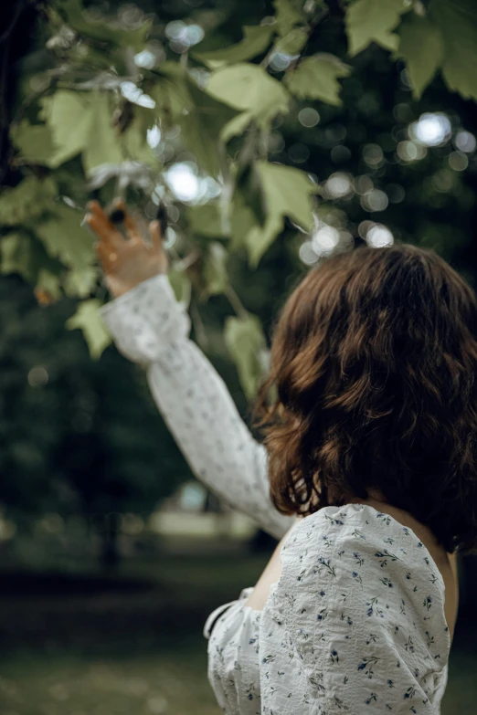 a little girl reaching up into a tree