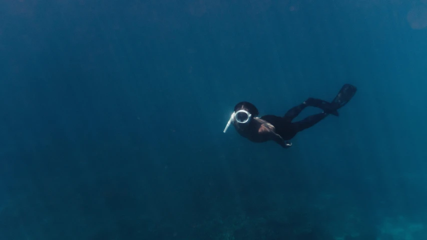 a person on a body of water with a diving suit