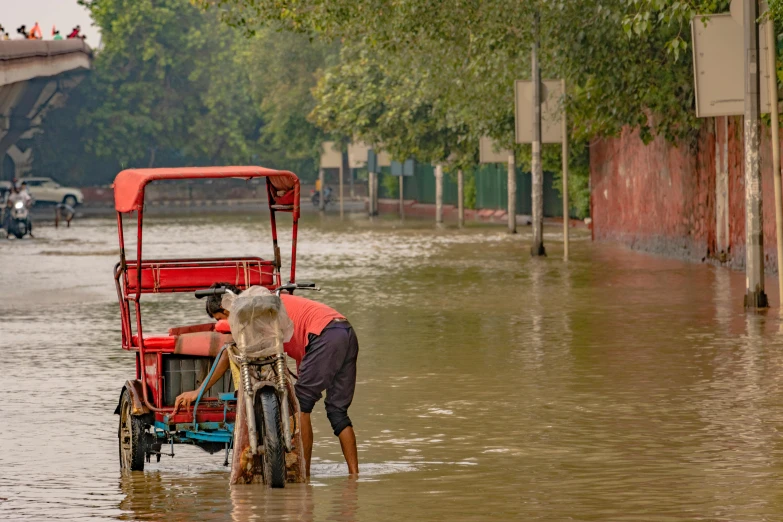 two people are standing in flooded area while a horse pulls a rickshaw