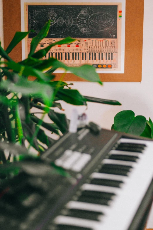 a plant is sitting next to a piano