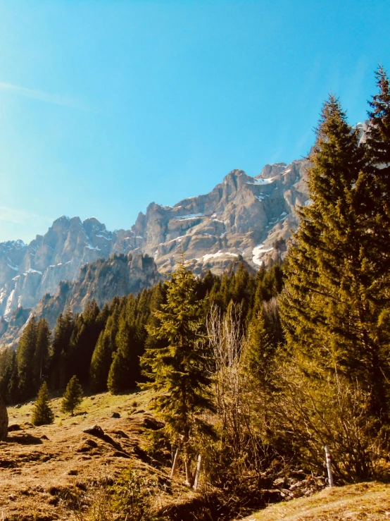 some snow covered mountains and trees on a sunny day