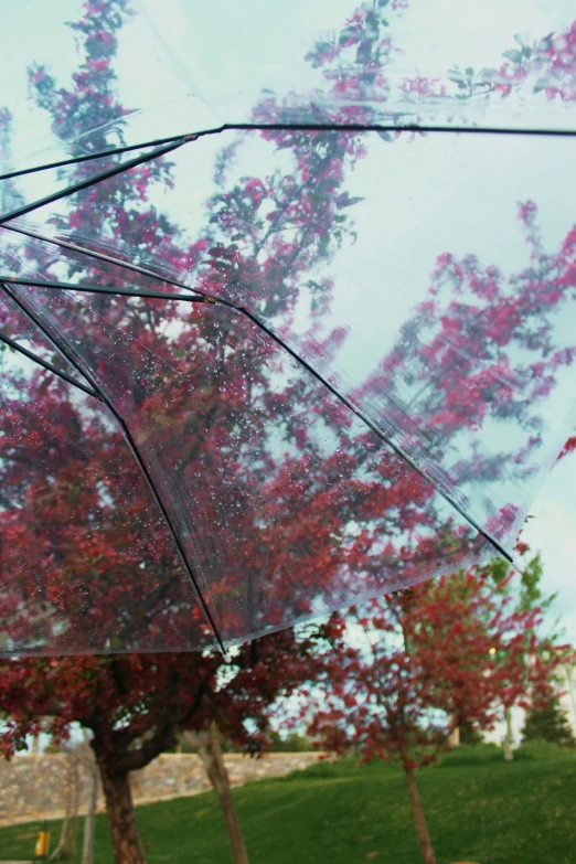 an umbrella in the middle of an outdoor park with trees covered by the rain