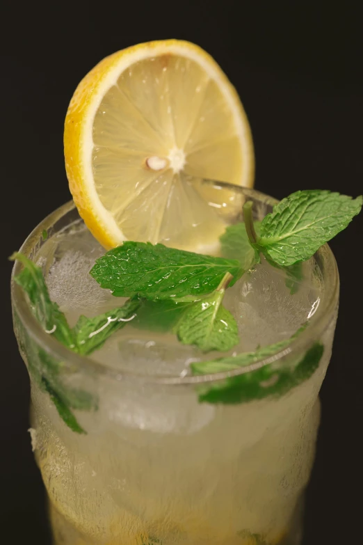 the glass is full of ice, lemon and mint