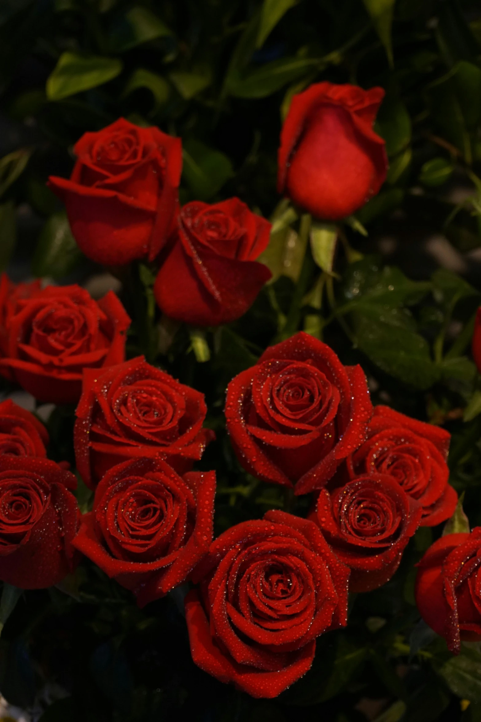 a large vase filled with red roses sitting on top of green leaves