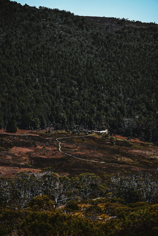 a view of a very large hill side with trees in the background