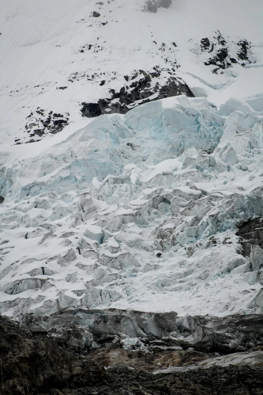 an animal standing in a rocky area with snow on it