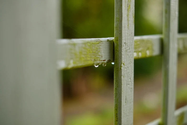 the corner of an old iron fence with a raindrop falling on it