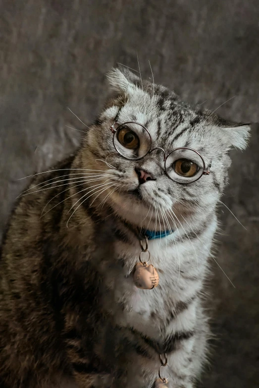 an animal sitting next to a black wall