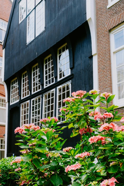 some pink flowers are outside the house and there are no other plants on the front porch