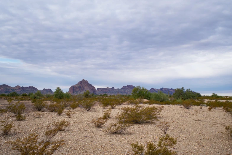 a sandy landscape with mountains in the background