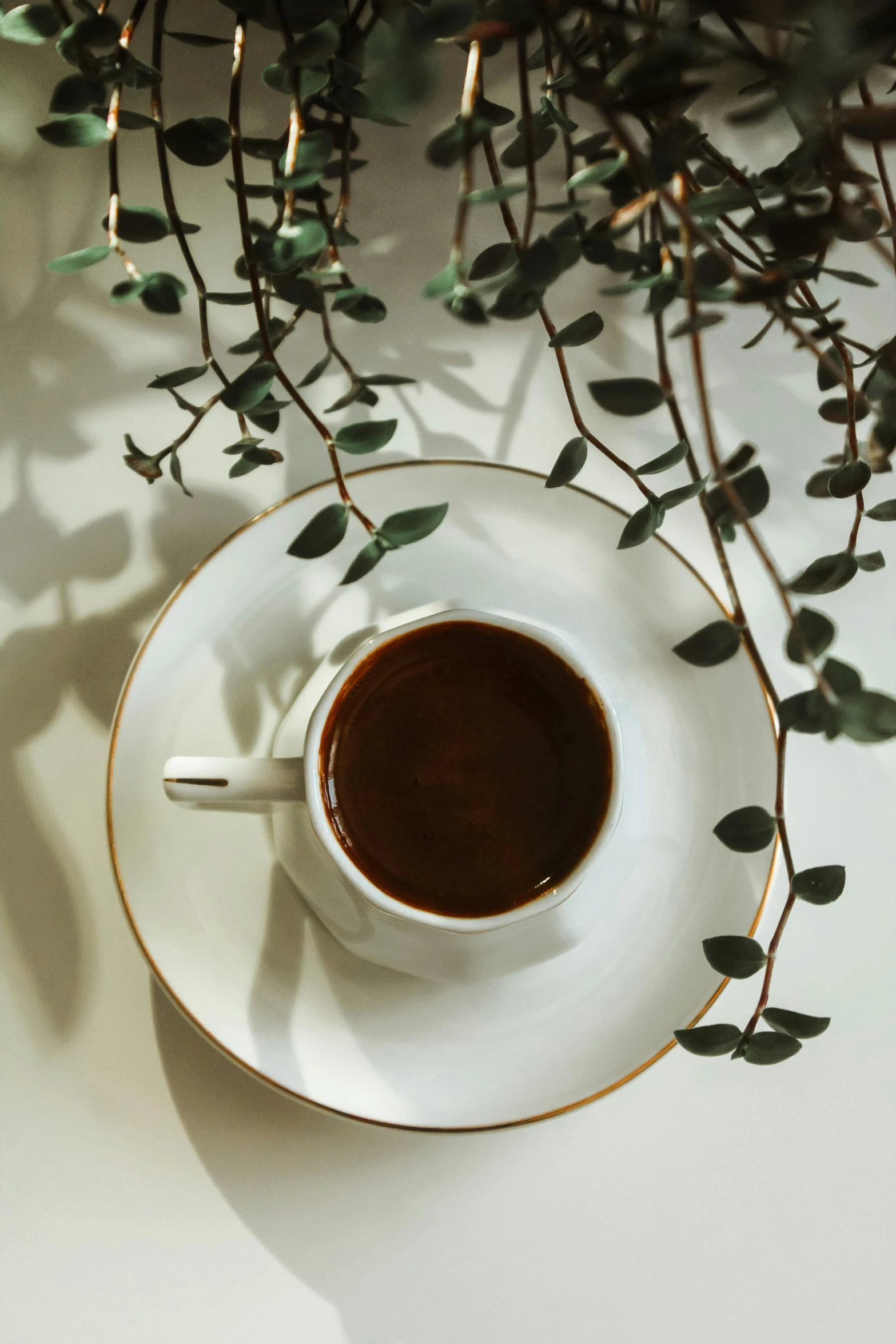 a tea cup on saucer surrounded by small green leaves