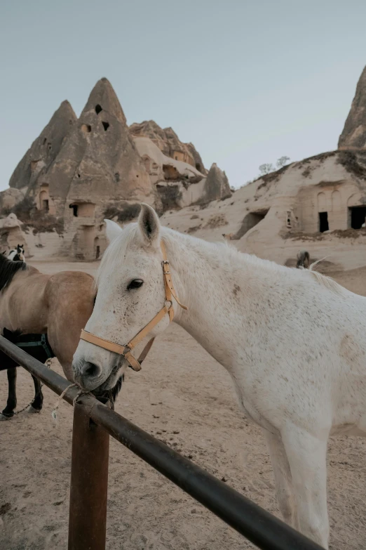 two horses are standing behind a fence near some houses