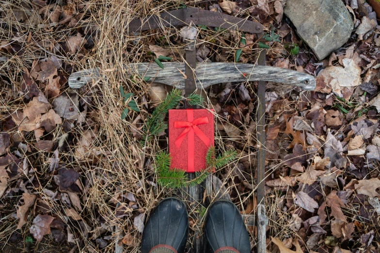 a persons feet standing in front of a bench with a bow tied to it