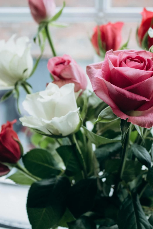 pink and white roses in a vase on a windowsill