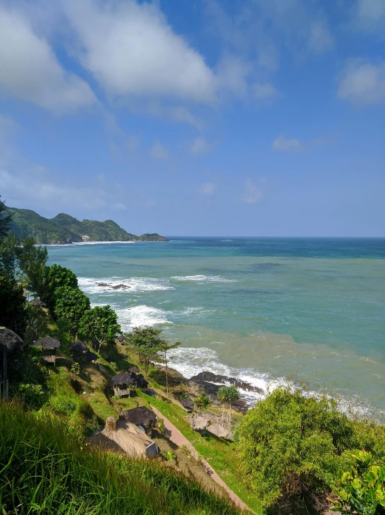 the ocean from a hill overlooking a forest