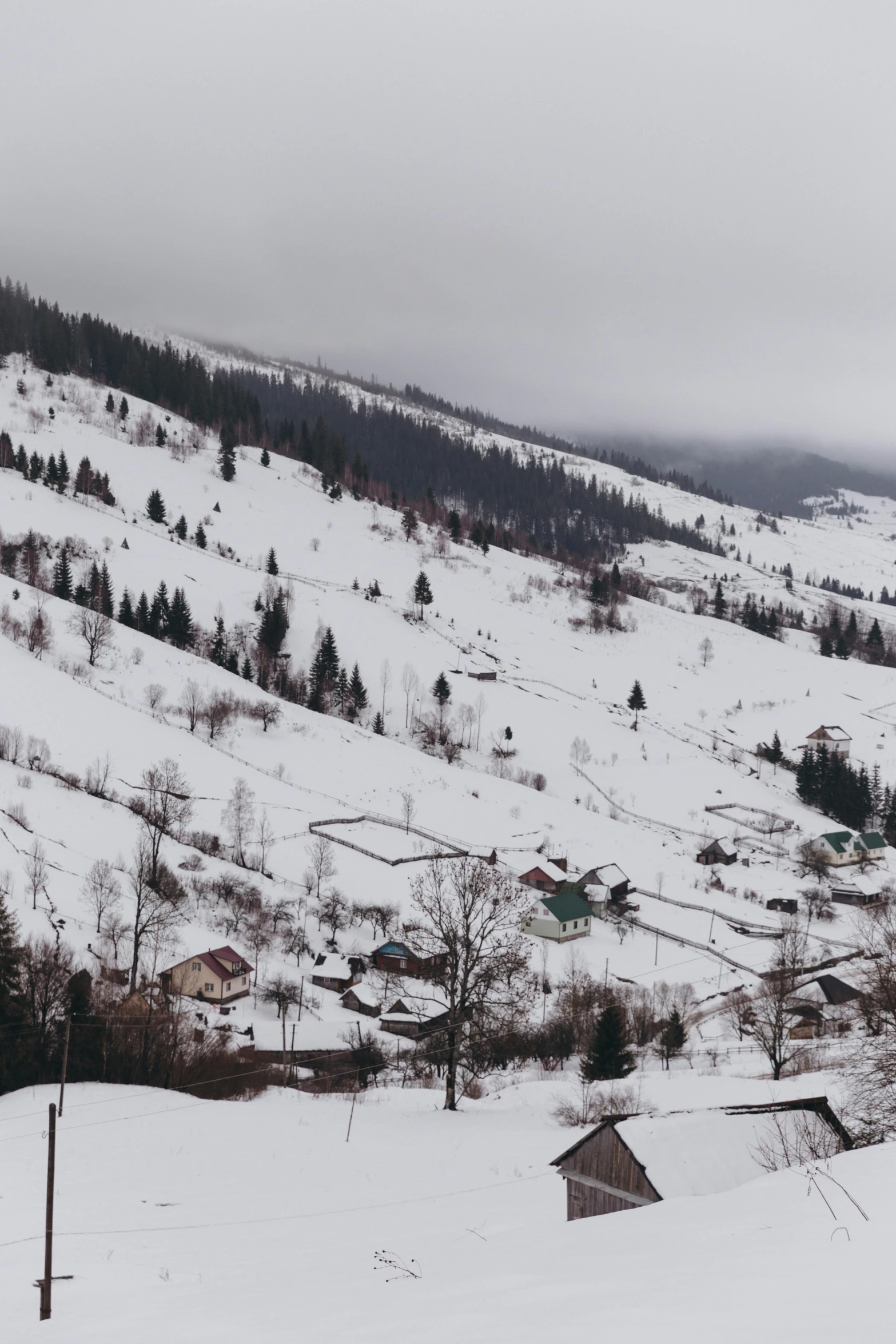 there are houses in the snow on this hill