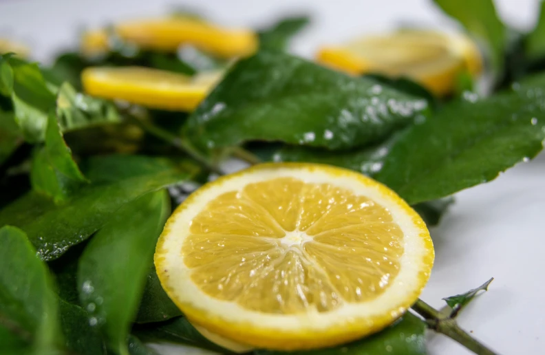 a close up picture of sliced lemon with leaves