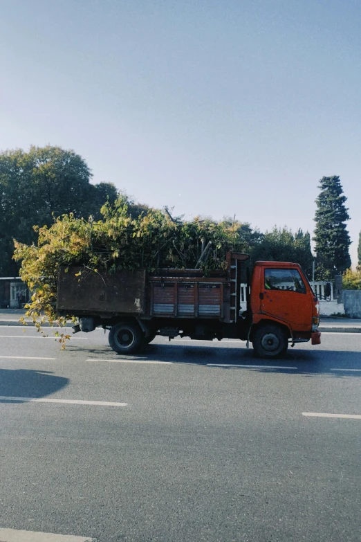a truck parked in a parking lot full of grass