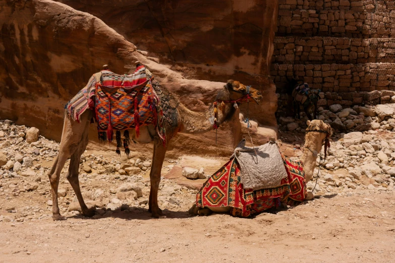 a camel with a saddle sitting next to a stone building