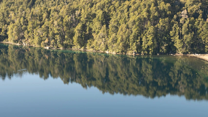 the calm waters of a lake near green trees