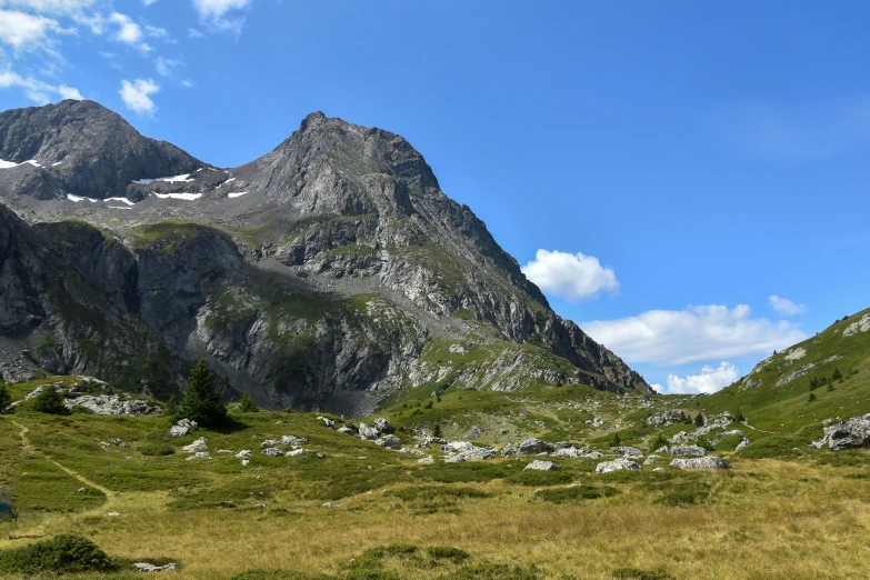 horses are grazing on the grass with mountains in the background