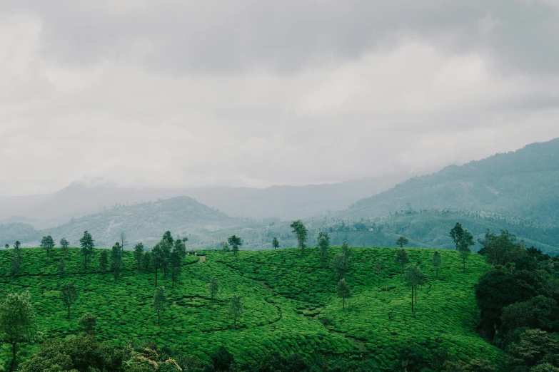 a beautiful green mountain area with mountains in the background