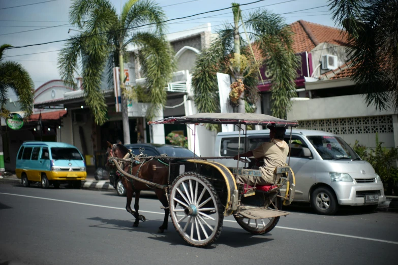 a man drives his horse drawn carriage down the road