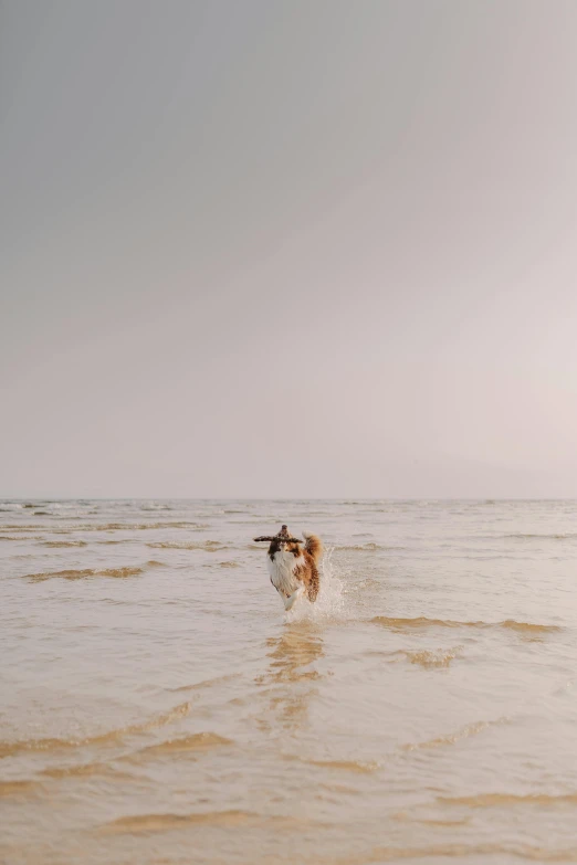 an image of a man riding a board in the ocean