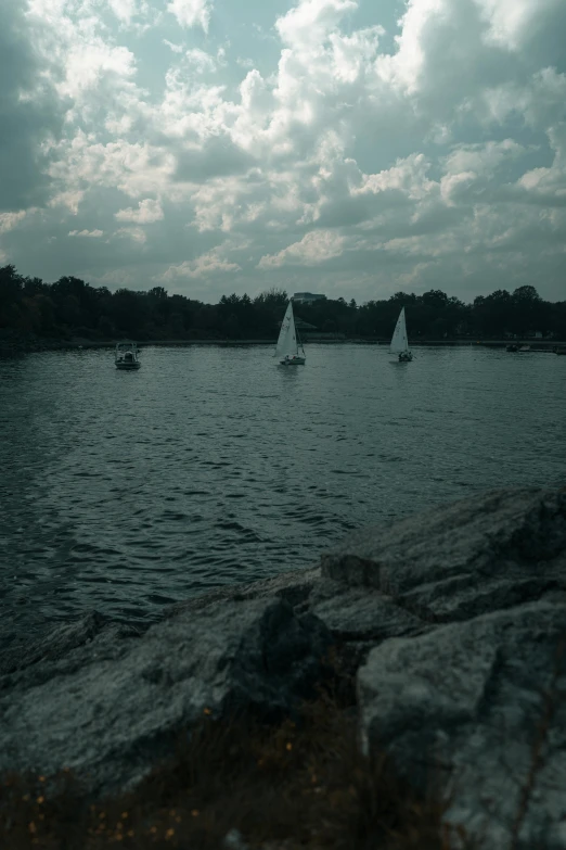 small sailboats are sailing in a big lake